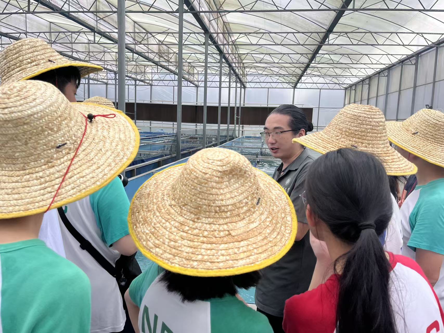 大湾区合作