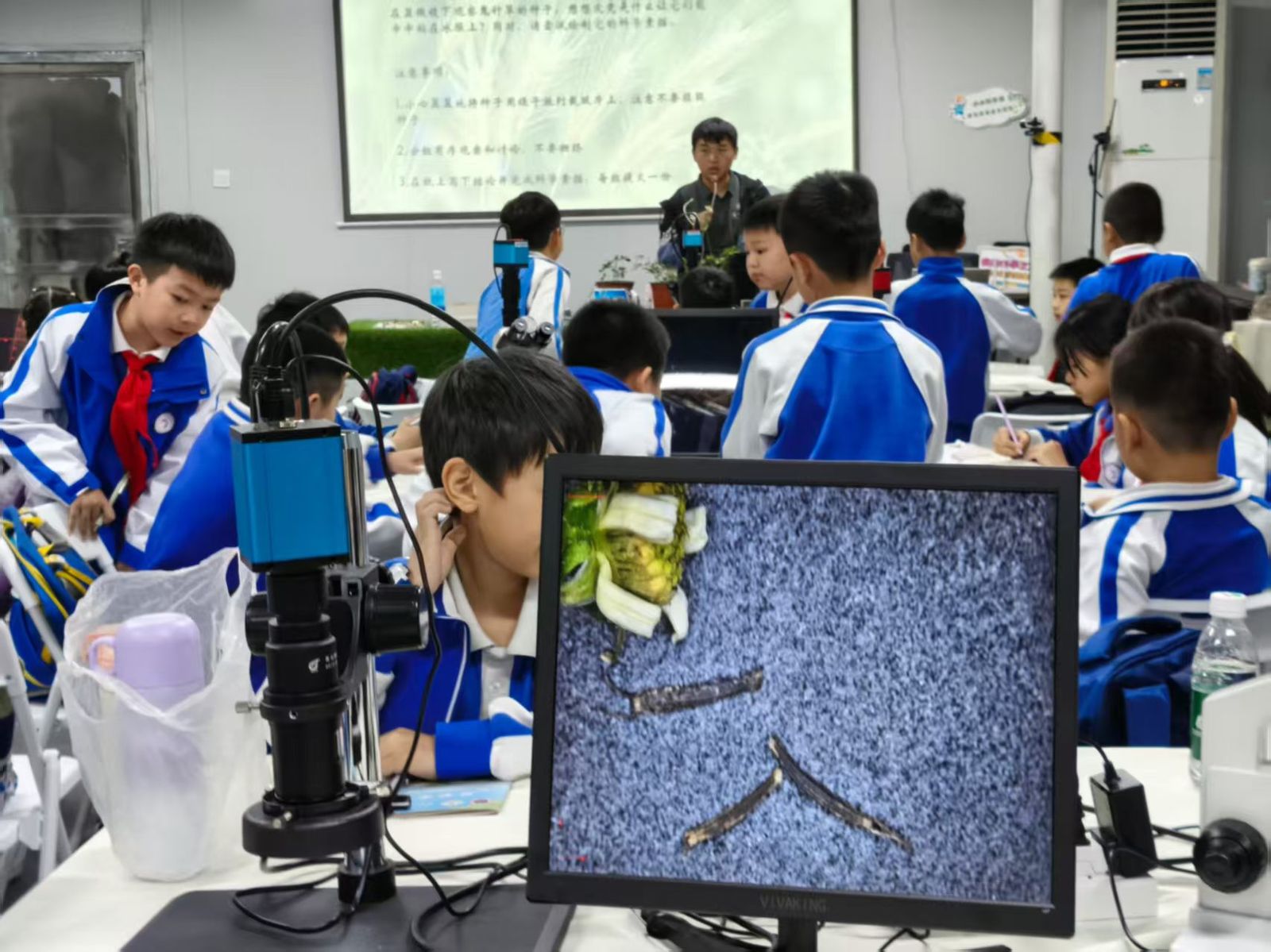 團隊合影