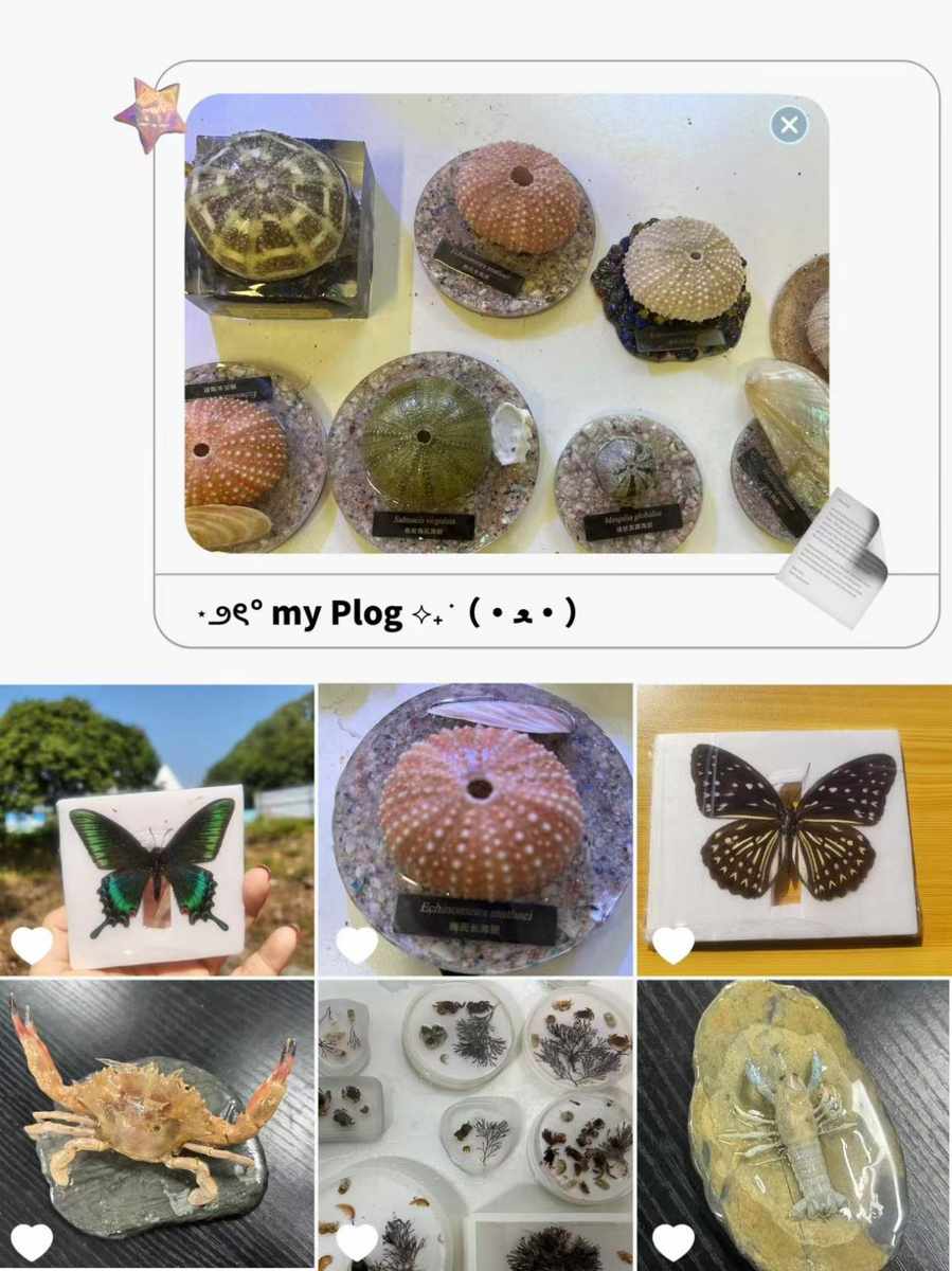 AI图像识别