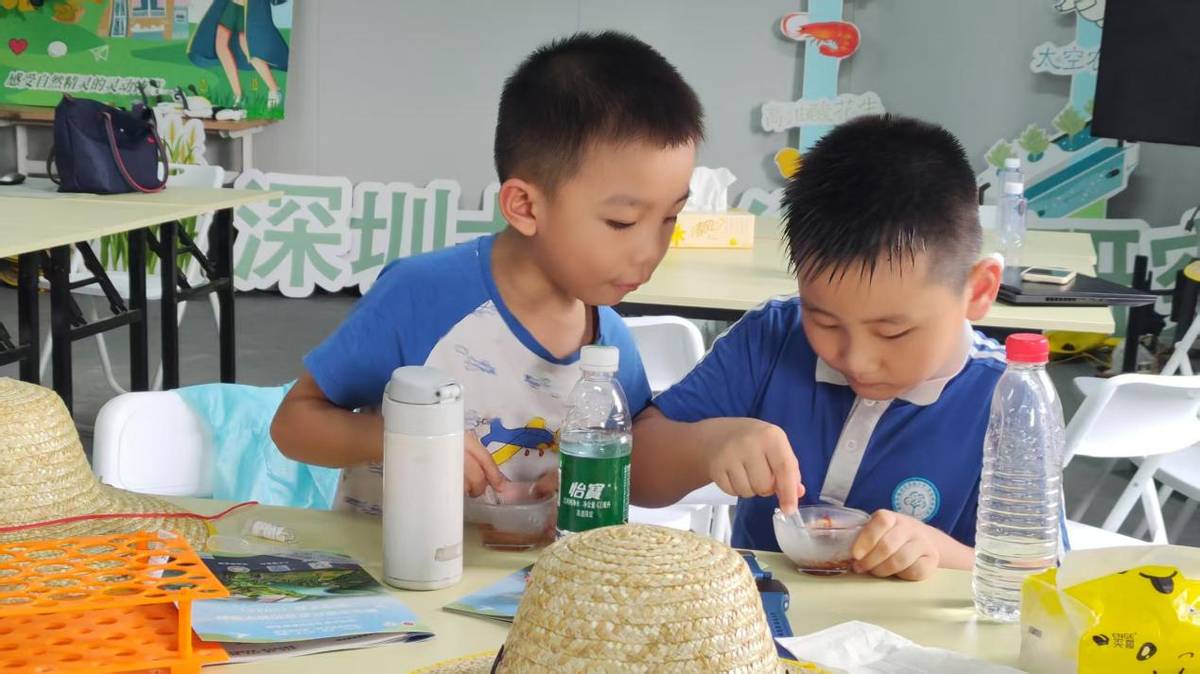 成果汇报结营