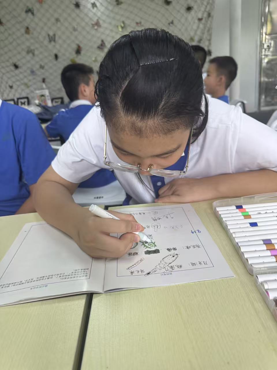 周末科学探究