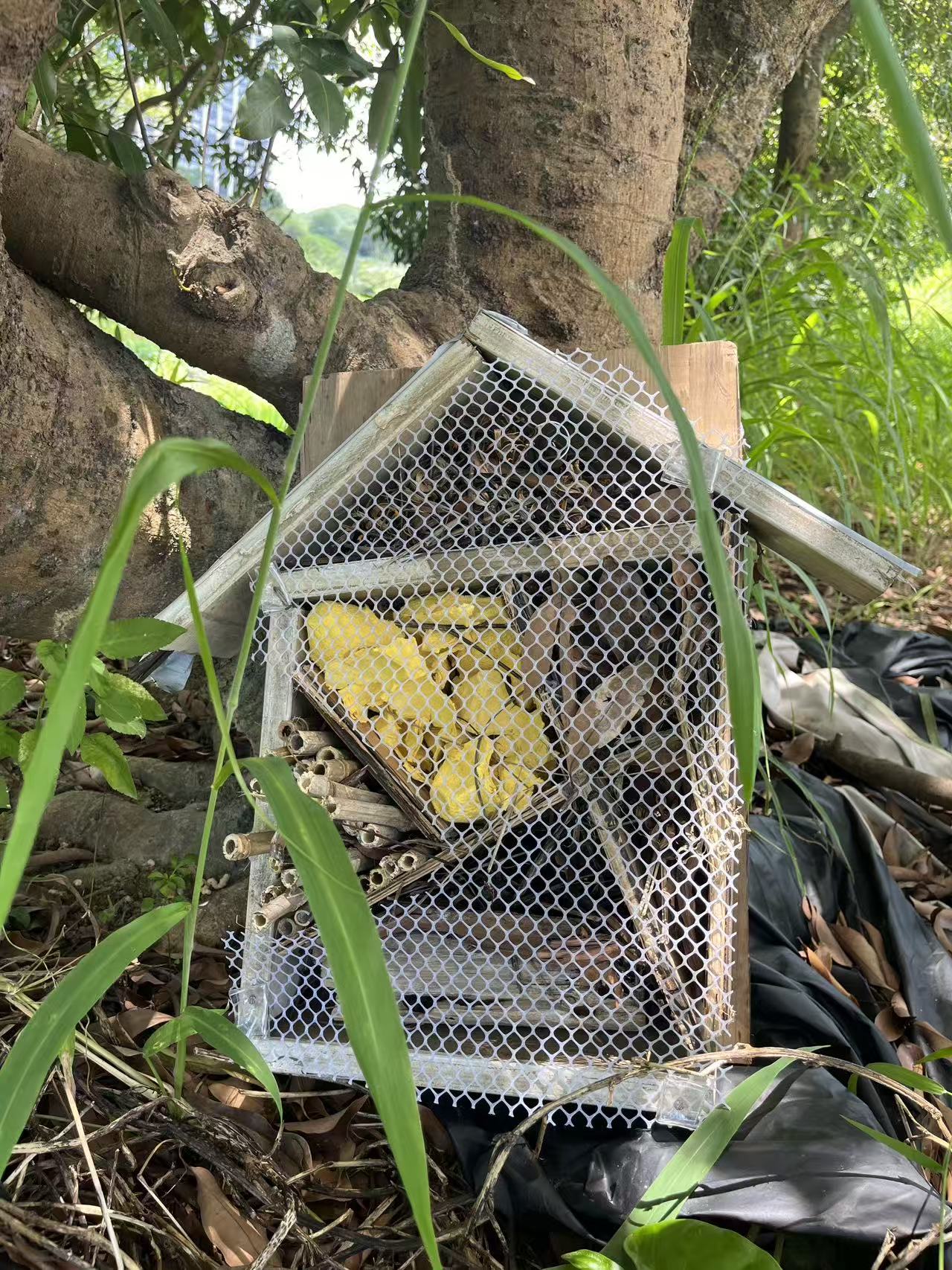 周末学习