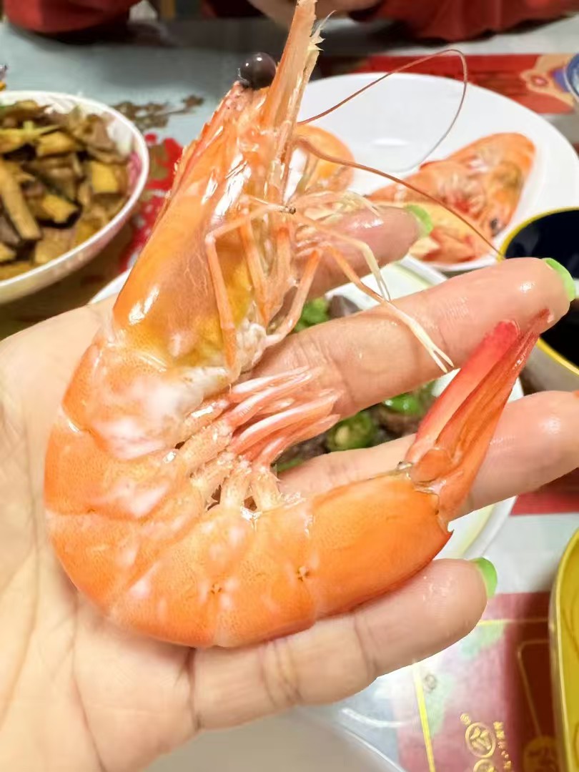 虾类养殖实验