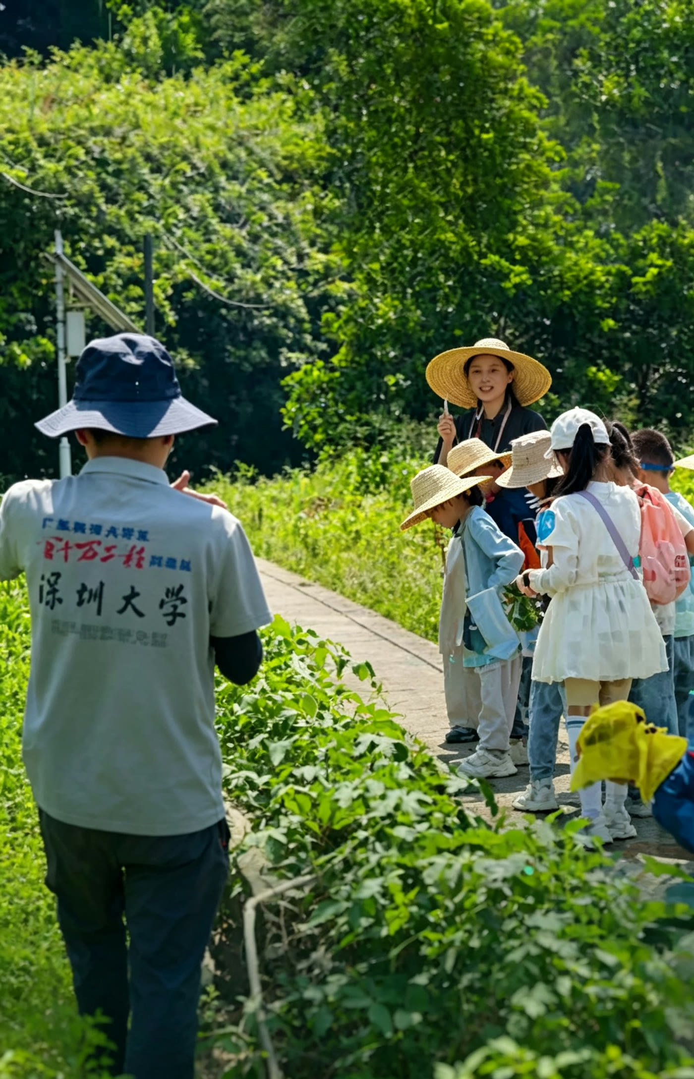原野中的科学课 · 昆虫探索